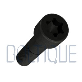 Vite A Testa Cilindrica Torx-esalobata Bassa In PEEK - ISO 14580 – High - Foto 13